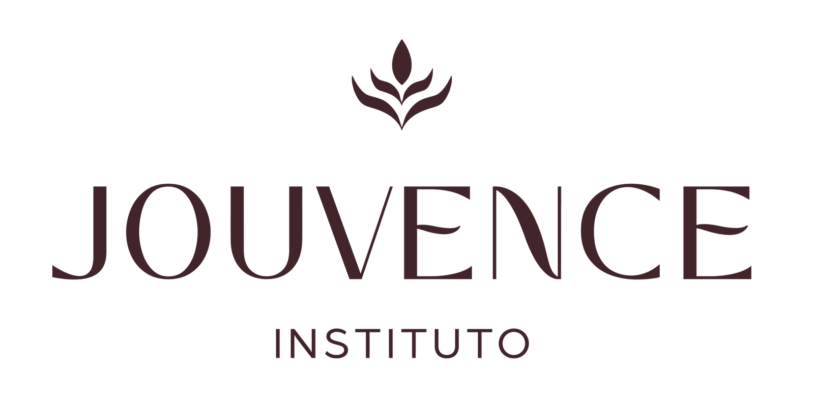 lOGO jOUVENCE iNSTITUTO sanns fond