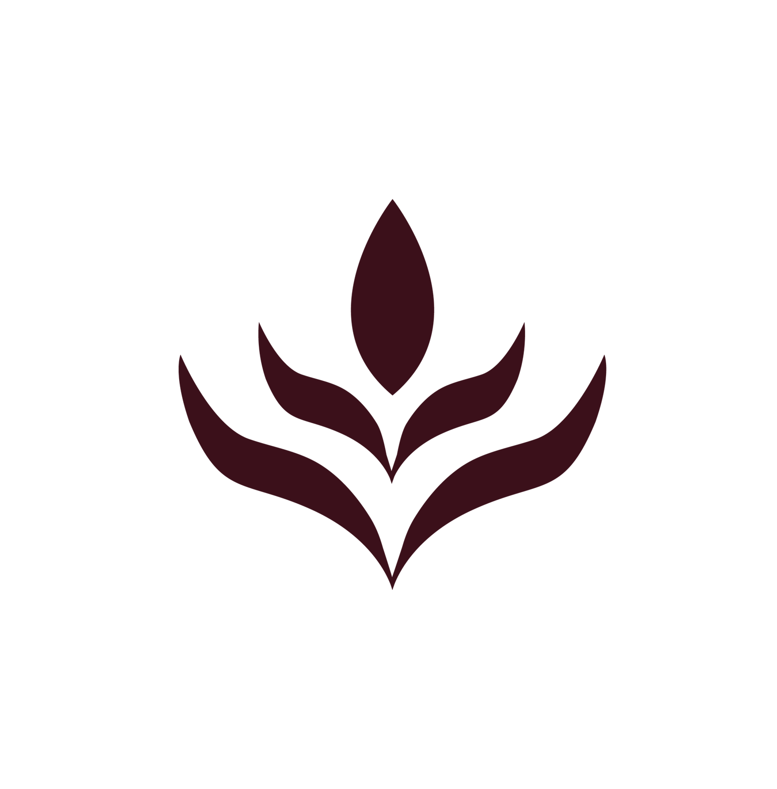 Logo-icone-cherry